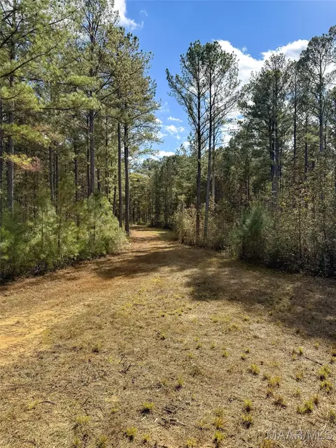 407 County Road 258 Rd, Five Points, AL 36862 photo 31