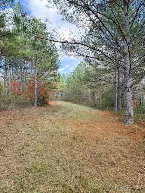 407 County Road 258 Rd, Five Points, AL 36862 photo 43
