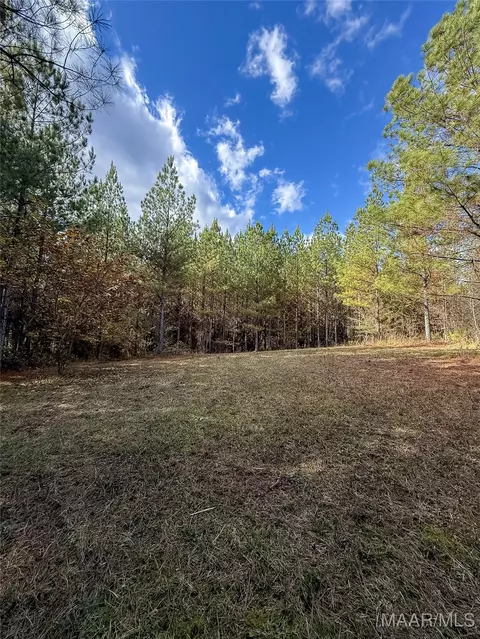 407 County Road 258 Rd, Five Points, AL 36862 photo 51
