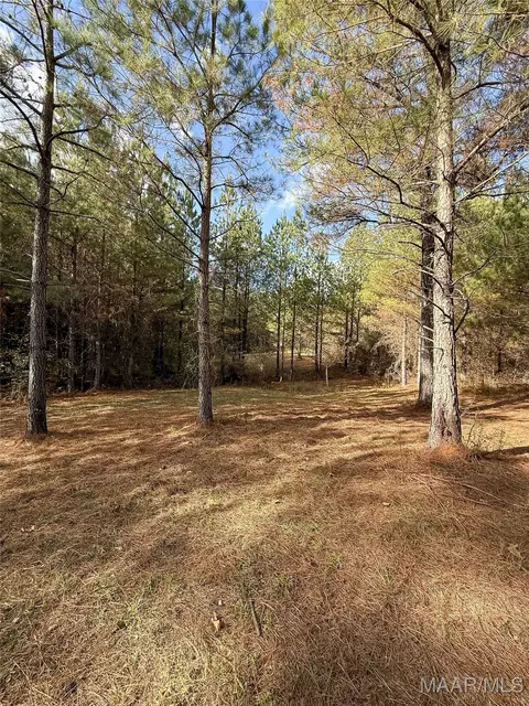 407 County Road 258 Rd, Five Points, AL 36862 photo 45