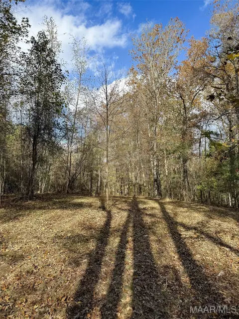 407 County Road 258 Rd, Five Points, AL 36862 photo 52