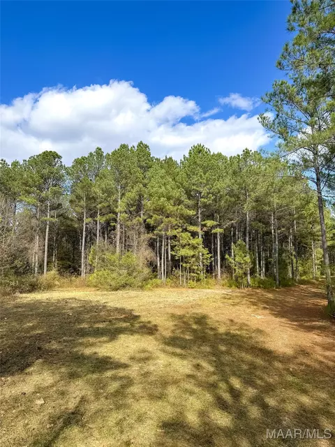 407 County Road 258 Rd, Five Points, AL 36862 photo 38