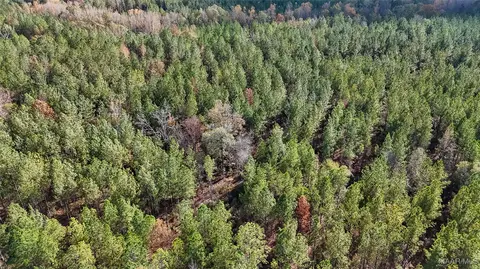 407 County Road 258 Rd, Five Points, AL 36862 photo 9