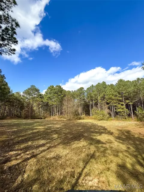 407 County Road 258 Rd, Five Points, AL 36862 photo 39