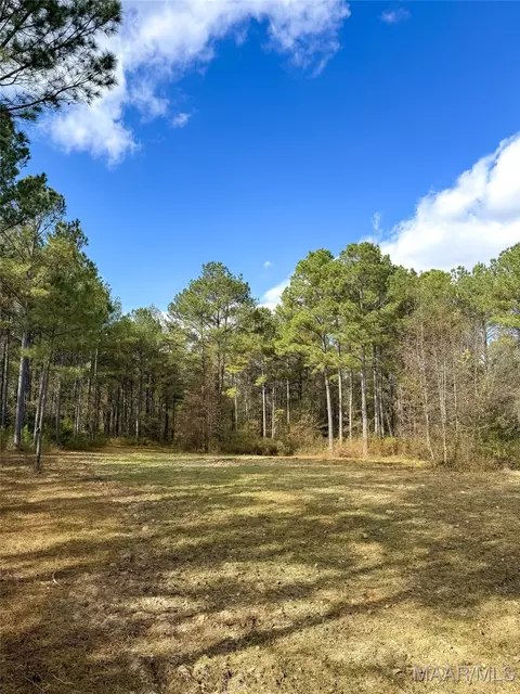 407 County Road 258 Rd, Five Points, AL 36862 photo 37