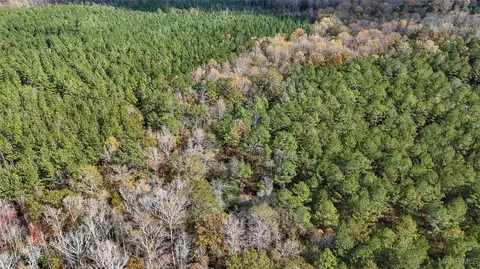 407 County Road 258 Rd, Five Points, AL 36862 photo 8