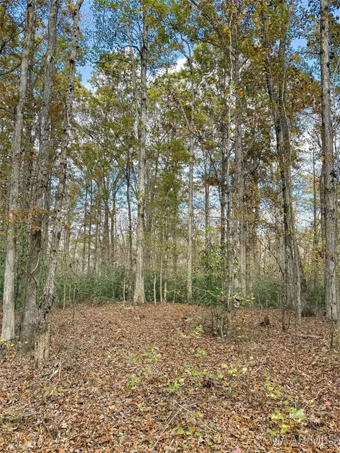 407 County Road 258 Rd, Five Points, AL 36862 photo 40