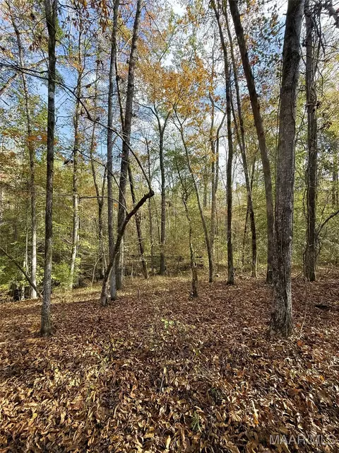 407 County Road 258 Rd, Five Points, AL 36862 photo 48