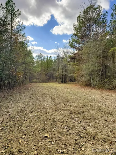 407 County Road 258 Rd, Five Points, AL 36862 photo 42