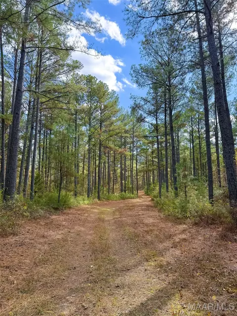 407 County Road 258 Rd, Five Points, AL 36862 photo 35