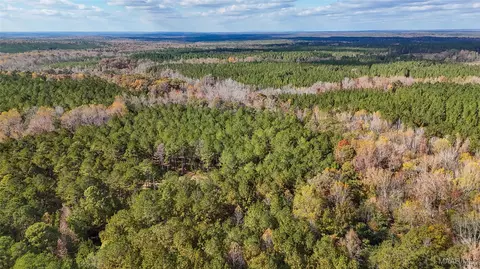 407 County Road 258 Rd, Five Points, AL 36862 photo 3