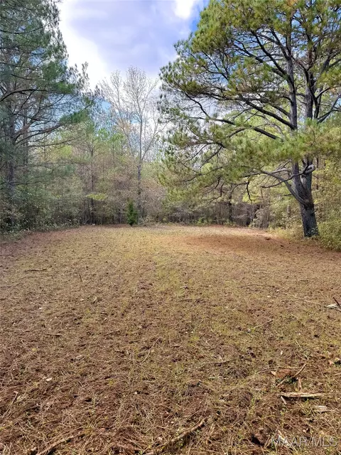 407 County Road 258 Rd, Five Points, AL 36862 photo 44