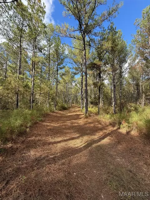 407 County Road 258 Rd, Five Points, AL 36862 photo 36