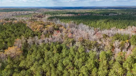 407 County Road 258 Rd, Five Points, AL 36862 photo 5