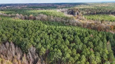 407 County Road 258 Rd, Five Points, AL 36862 photo 12