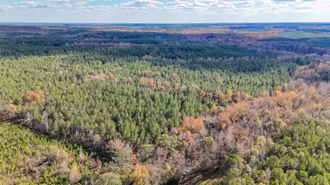 407 County Road 258 Rd, Five Points, AL 36862 photo 13