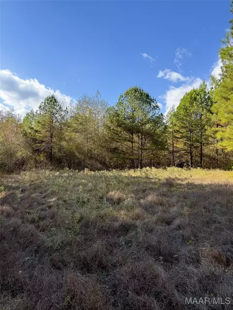 407 County Road 258 Rd, Five Points, AL 36862 photo 53
