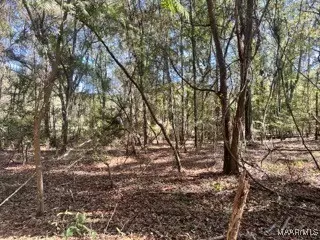 0 County Road 2202, Goshen, AL 36035