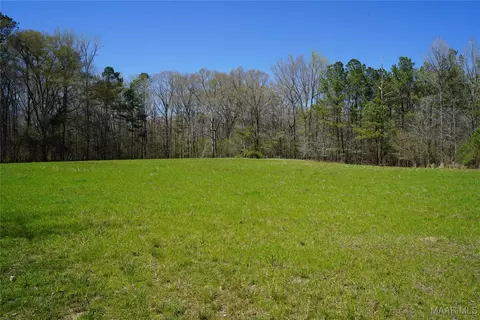 831 Old Barnes Rd, Mathews, AL 36065
