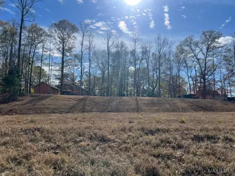 0 Springwood Dr, Greenville, AL 36037