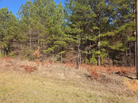 0 Amber Rd, Shorter, AL 36075