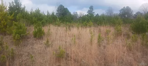 60 County Road 494, Verbena, AL 36091