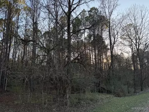 0 Hayneville Ridge Rd, Mathews, AL 36052