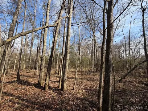. Highway 31, Letohatchee, AL 36047
