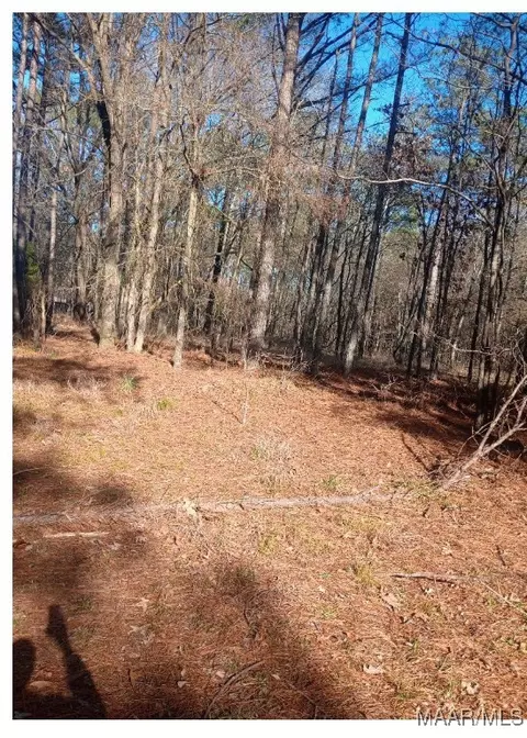 437 Hayneville Ridge Rd, Mathews, AL 36052