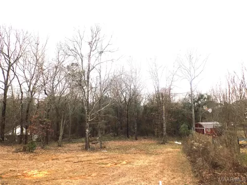 1506 White Cloud Dr, Deatsville, AL 36022