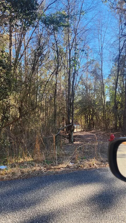 lot25 Lakeshore Dr, Tuskegee, AL 36083