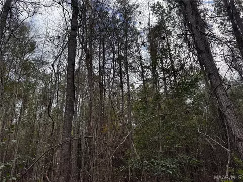 0 County Rd, Monroeville, AL 36460 photo 20