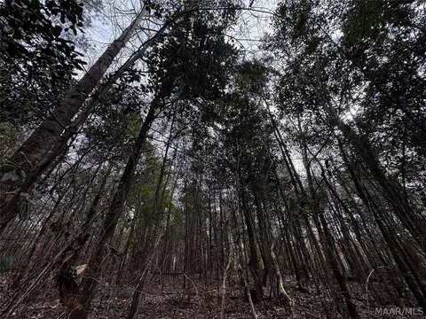 0 County Rd, Monroeville, AL 36460 photo 33