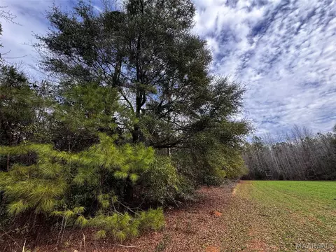 0 County Rd, Monroeville, AL 36460 photo 23