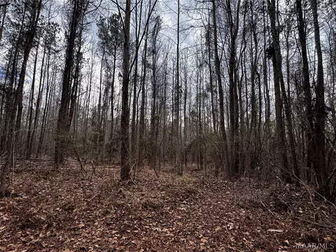 0 County Rd, Monroeville, AL 36460 photo 42
