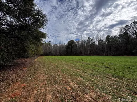 0 County Rd, Monroeville, AL 36460 photo 24