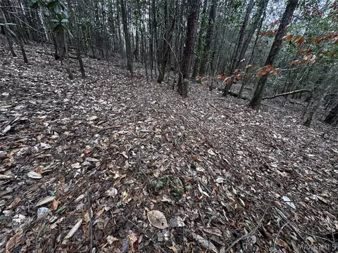0 County Rd, Monroeville, AL 36460 photo 34