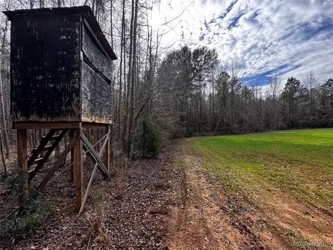0 County Rd, Monroeville, AL 36460 photo 12