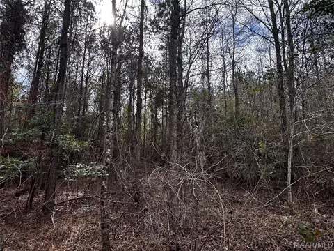 0 County Rd, Monroeville, AL 36460 photo 15