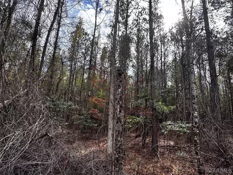 0 County Rd, Monroeville, AL 36460 photo 14