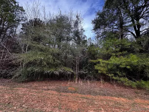 0 County Rd, Monroeville, AL 36460 photo 22