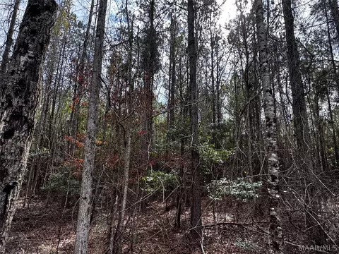0 County Rd, Monroeville, AL 36460 photo 17