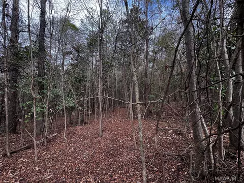 0 County Rd, Monroeville, AL 36460 photo 29