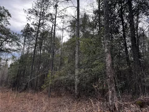 0 County Rd, Monroeville, AL 36460 photo 7