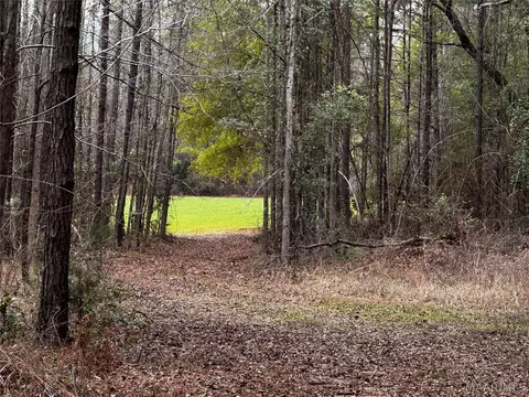 0 County Rd, Monroeville, AL 36460 photo 6