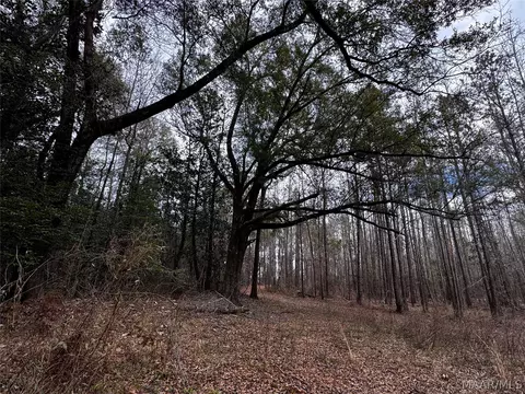 0 County Rd, Monroeville, AL 36460 photo 38