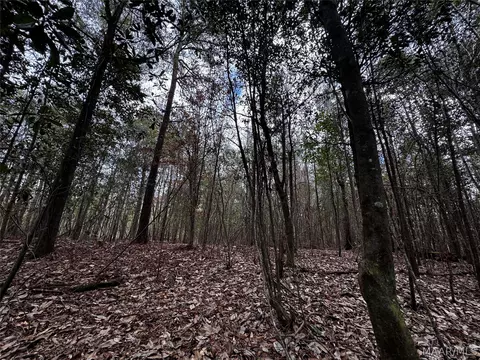 0 County Rd, Monroeville, AL 36460 photo 36