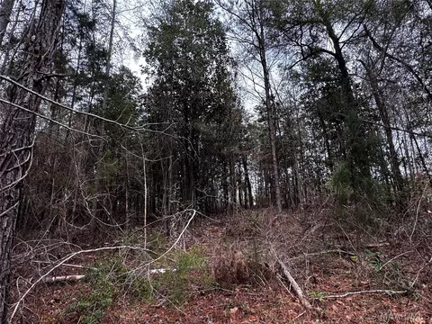 0 County Rd, Monroeville, AL 36460 photo 41
