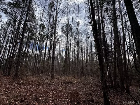 0 County Rd, Monroeville, AL 36460 photo 40