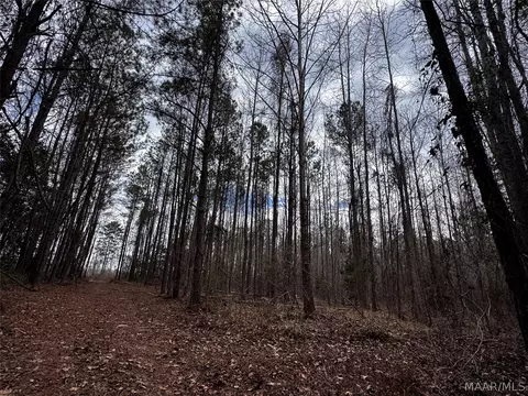 0 County Rd, Monroeville, AL 36460 photo 39